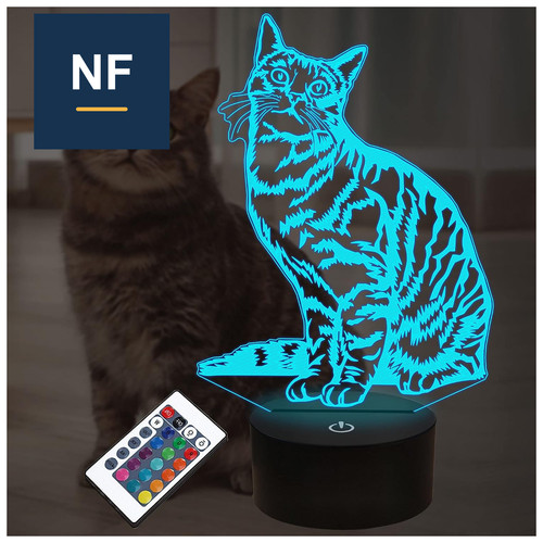 Illusion led cat lampe - 3d,